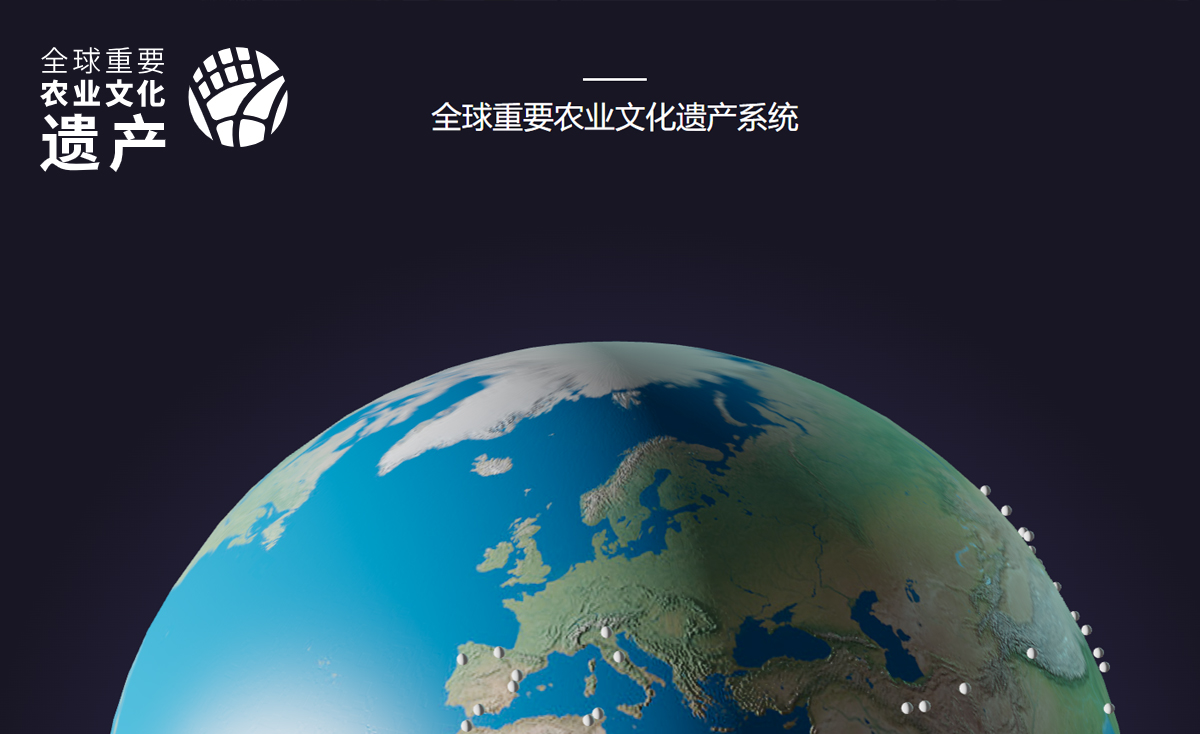 联合国粮食及农业组织